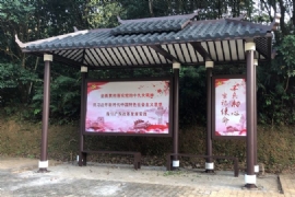 ��܇ͤ����V������˹�(ji��)����ϲ��